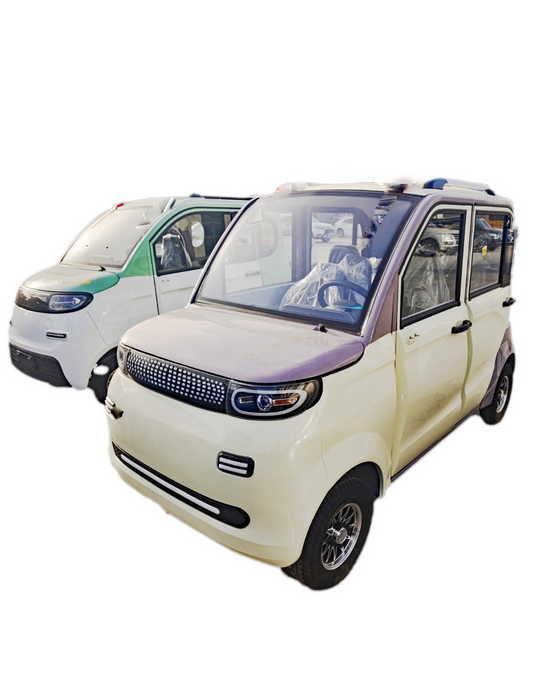 (ACOMPTE) FBLM-PLUS  09 – Mini voiture électrique (Violet & Blanc)